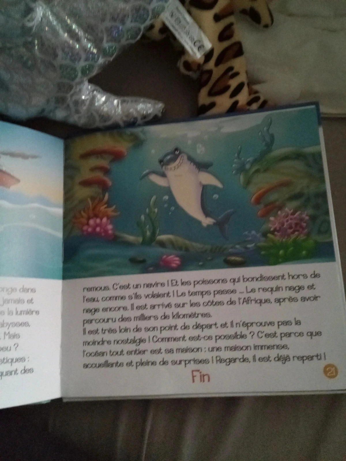 Lot 3 articles requin – photo 8